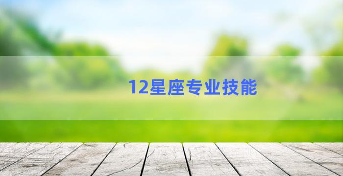 12星座专业技能