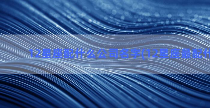 12星座配什么公司名字(12星座最配什么豪车)