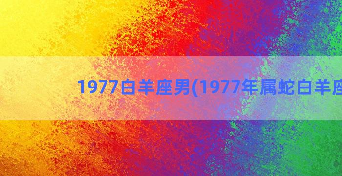 1977白羊座男(1977年属蛇白羊座男)