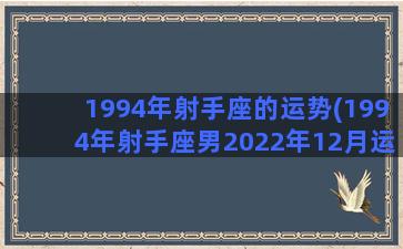 1994年射手座的运势(1994年射手座男2022年12月运势)