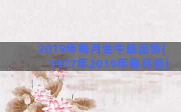 2019年每月金牛座运势(1977年2019年每月运)