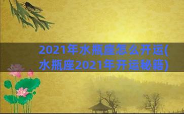 2021年水瓶座怎么开运(水瓶座2021年开运秘籍)