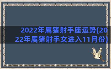 2022年属猪射手座运势(2022年属猪射手女进入11月份)