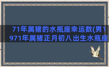 71年属猪的水瓶座幸运数(男1971年属猪正月初八出生水瓶座男性格)