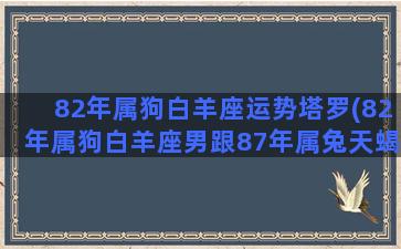 82年属狗白羊座运势塔罗(82年属狗白羊座男跟87年属兔天蝎座女)