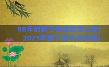 88年的狮子座运势怎么样(2023年狮子座年运合辑)