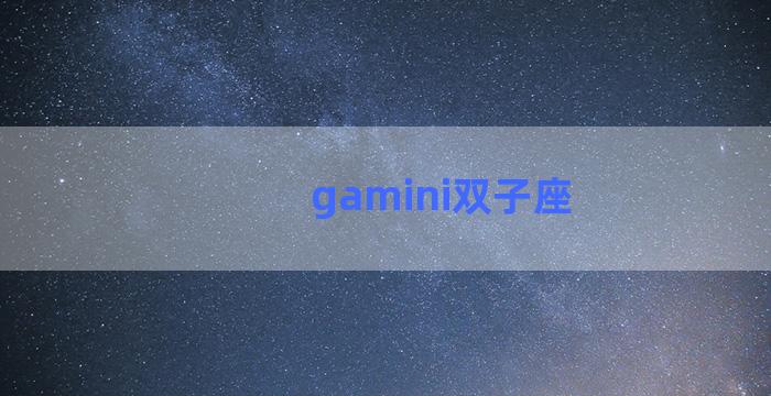 gamini双子座