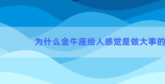 为什么金牛座给人感觉是做大事的