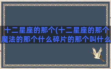 十二星座的那个(十二星座的那个魔法的那个什么碎片的那个叫什么)