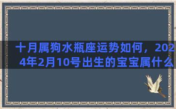 十月属狗水瓶座运势如何，2024年2月10号出生的宝宝属什么