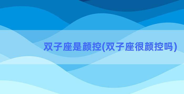 双子座是颜控(双子座很颜控吗)