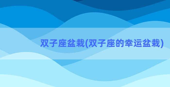 双子座盆栽(双子座的幸运盆栽)