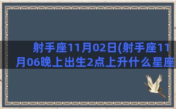 射手座11月02日(射手座11月06晚上出生2点上升什么星座)