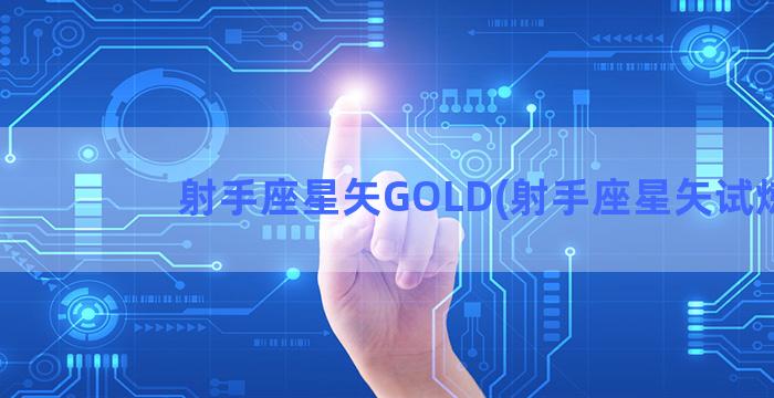 射手座星矢GOLD(射手座星矢试炼)