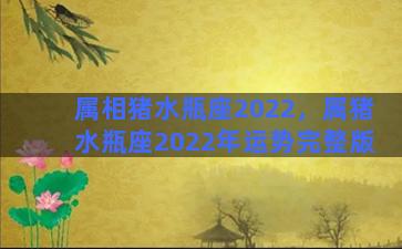 属相猪水瓶座2022，属猪水瓶座2022年运势完整版