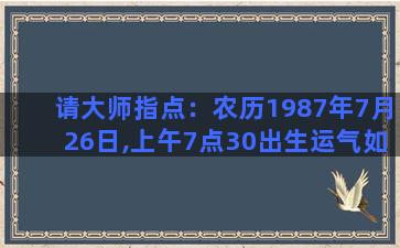 请大师指点：农历1987年7月26日,上午7点30出生运气如何。