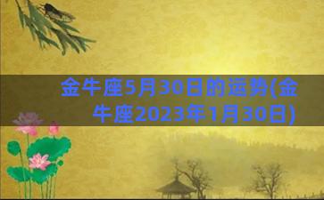 金牛座5月30日的运势(金牛座2023年1月30日)