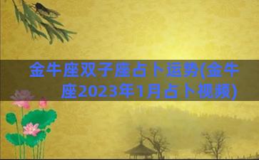 金牛座双子座占卜运势(金牛座2023年1月占卜视频)